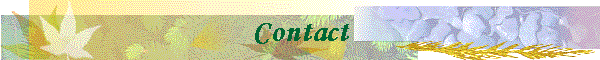 Contact